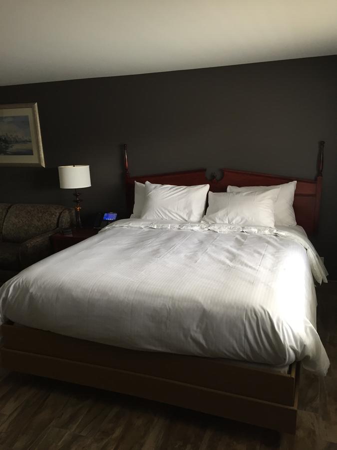 Wigles Motel Leamington Dış mekan fotoğraf